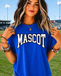 Custom Mascot Shirt, Custom School Spirit Shirt, Custom School Shirt, Game Day tshirt, Custom Teacher Shirt, Team Mascot Shirt, Mascot Tees