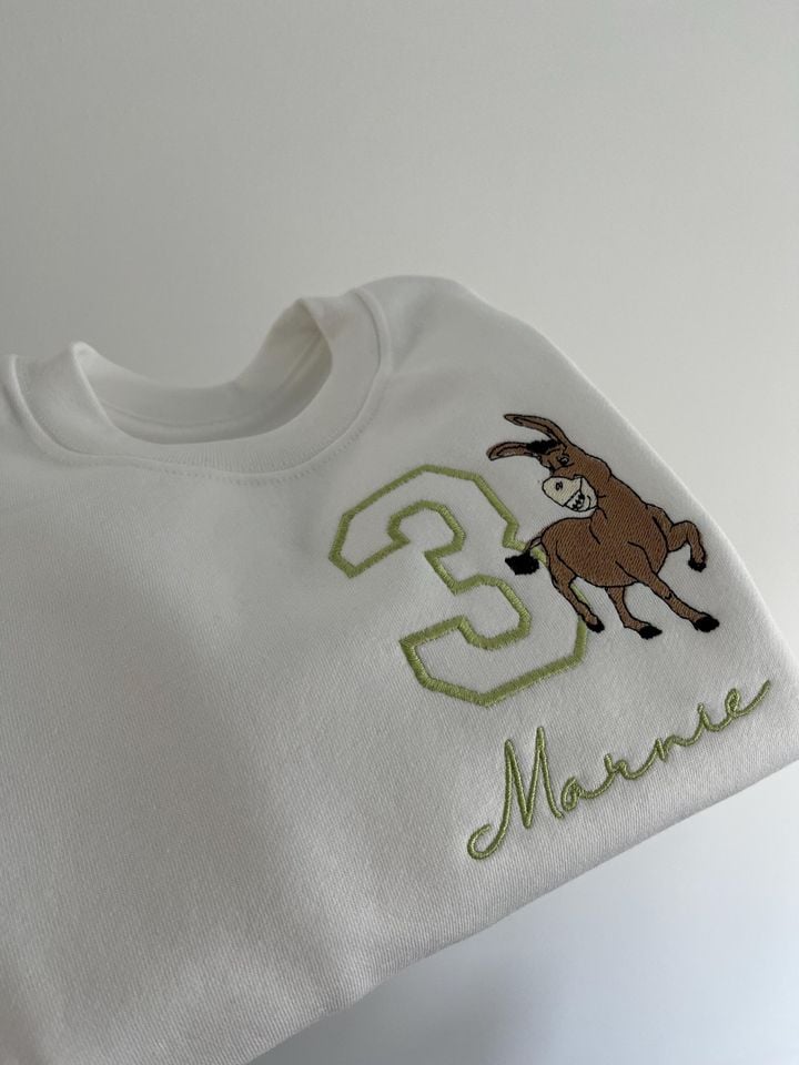 personalised embroidered kids tshirt | sweatshirt | donkey | shrek | special occasion gift
