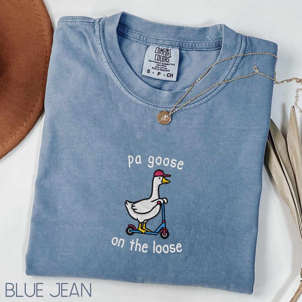 Embroidered Physician Assistant Shirt, PA Student Gifts, Silly Goose T-shirt