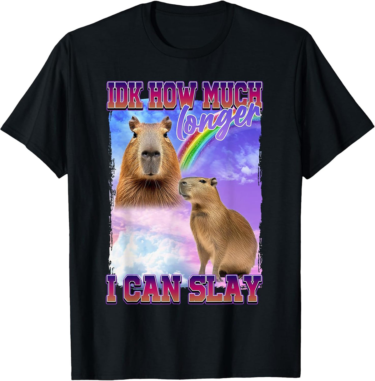 IDK How Much Longer I Can Slay Capybara T-Shirt
