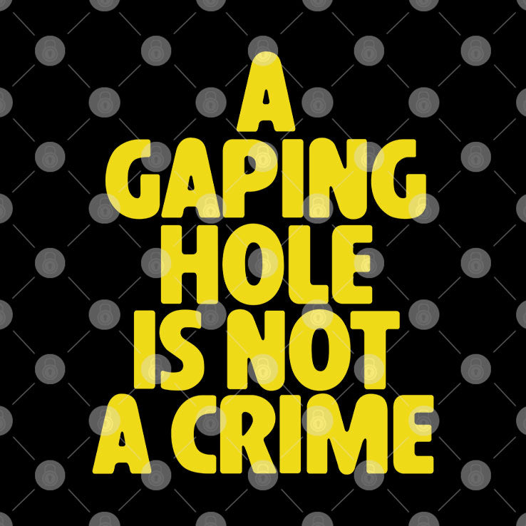 A Gaping Hole Is Not A Crime T Shirt
