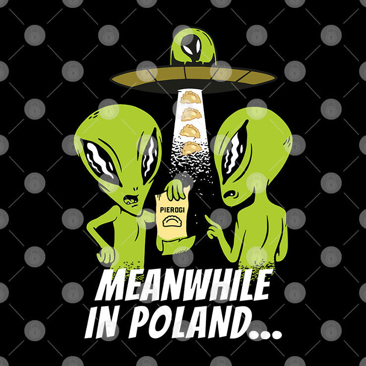 Alien Abduction Pierogi Polish Meanwhile In Poland Shirt