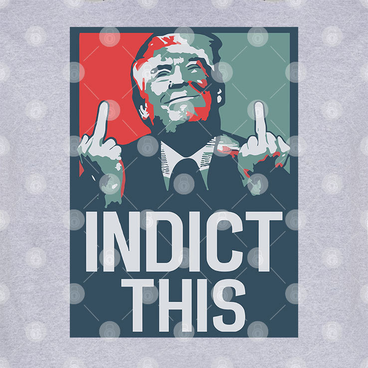 Alina Habba Trump Indict This Shirt