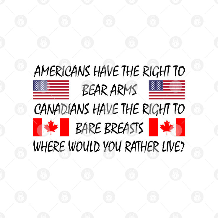 Americans Have The Right To Bear Arms Canadians Have The Right To Bare Breasts Shirt