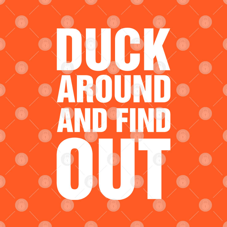 Anaheim Ducks Duck Around And Find Out T Shirt