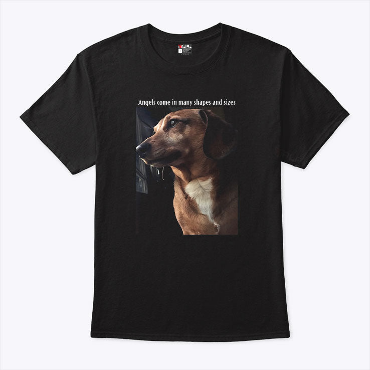 Angels Come In Many Shapes And Sizes Frankie T Shirt