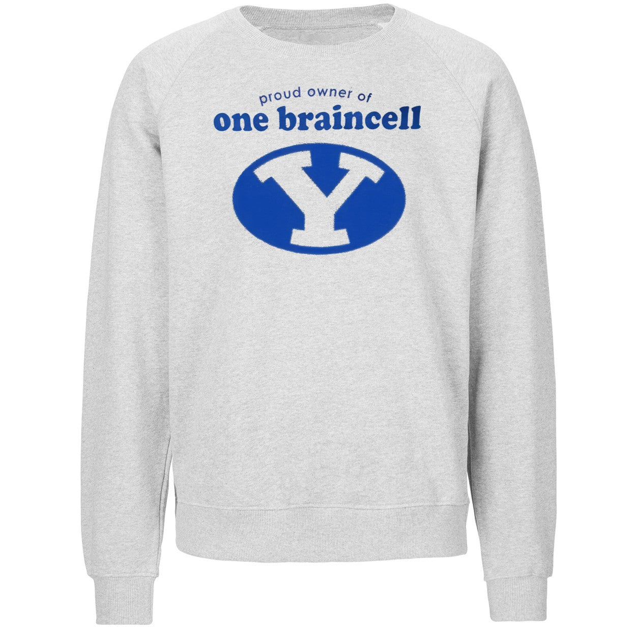 BYU Proud Owner Of One Braincell 2026 Shirt