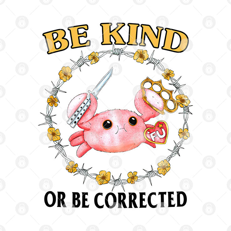 Be Kind Or Be Corrected T Shirt