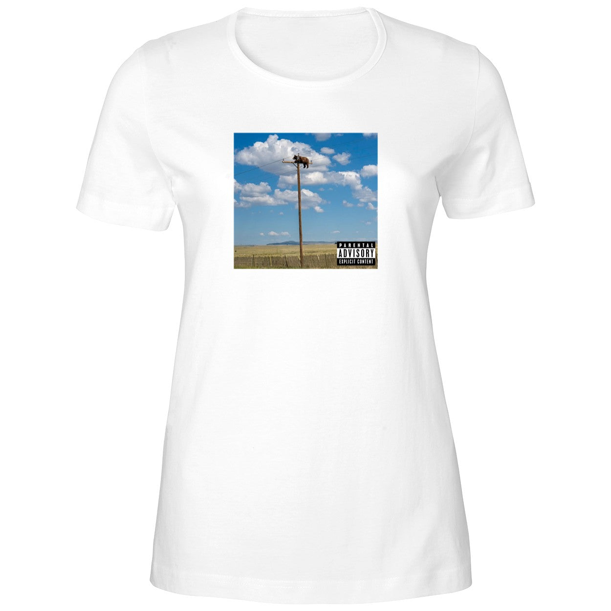 Bear On Top Of The Light Pole Shirt