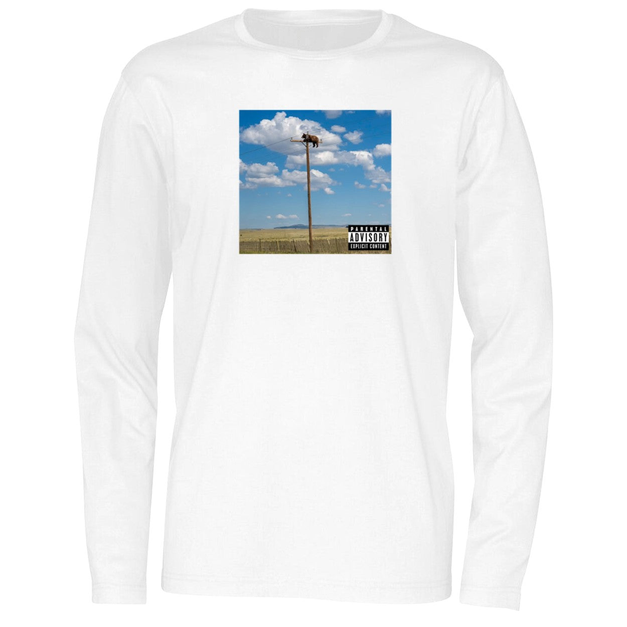 Bear On Top Of The Light Pole Shirt