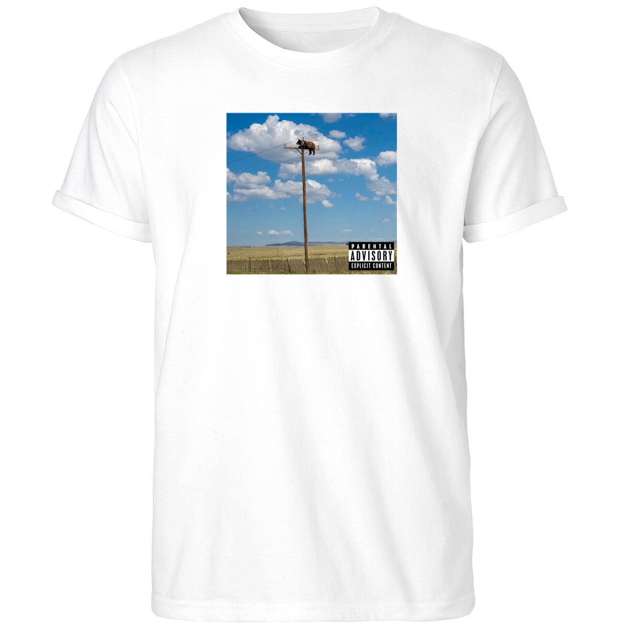 Bear On Top Of The Light Pole Shirt