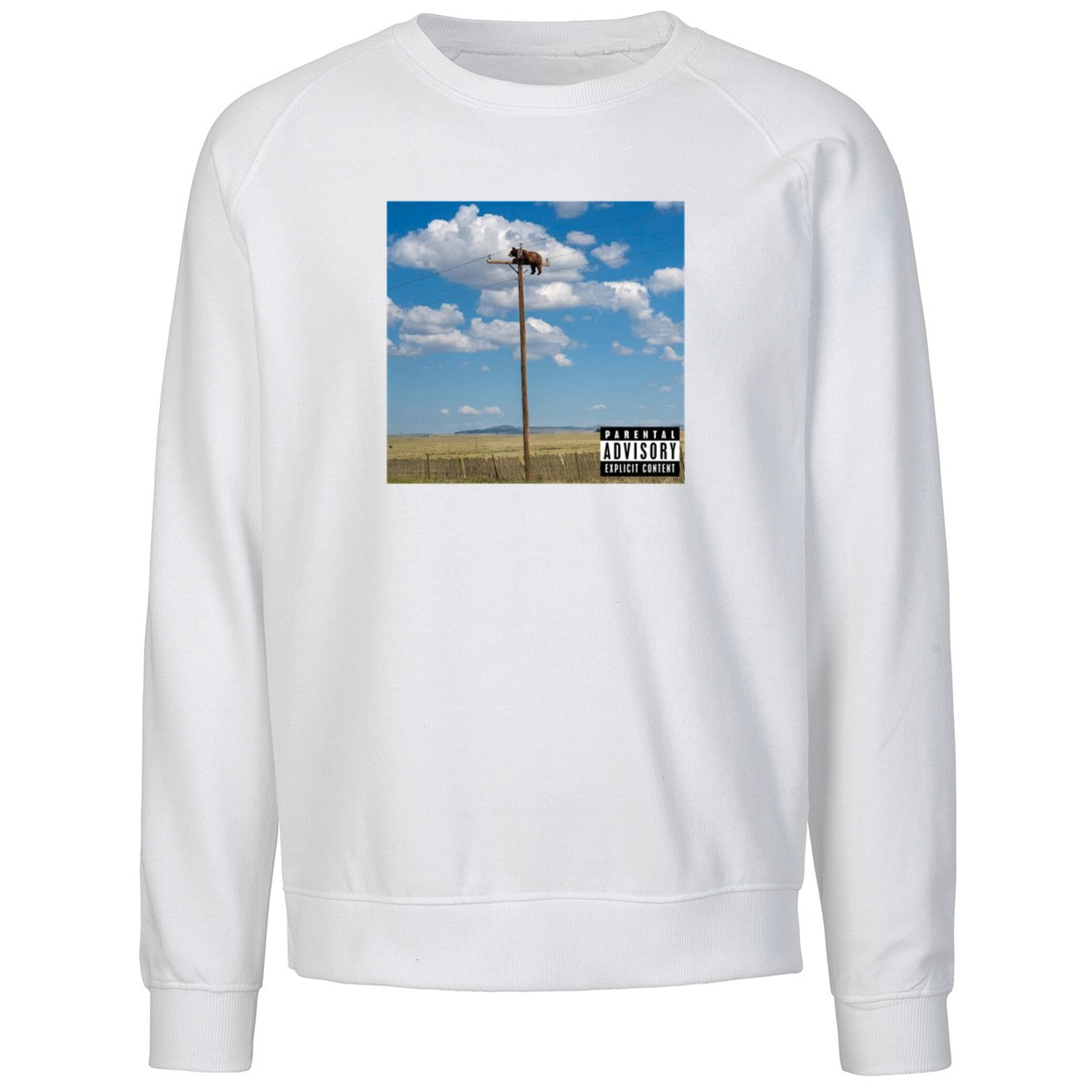 Bear On Top Of The Light Pole Shirt