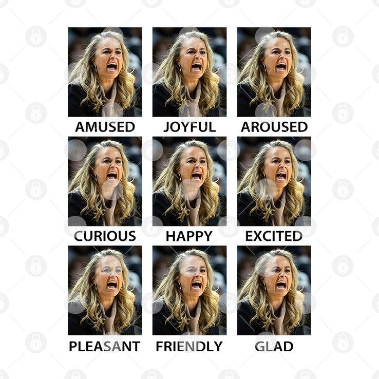 Becky Hammon Amused Joyful Aroused Curious Happy Excited Pleasant Friendly Glad T Shirt