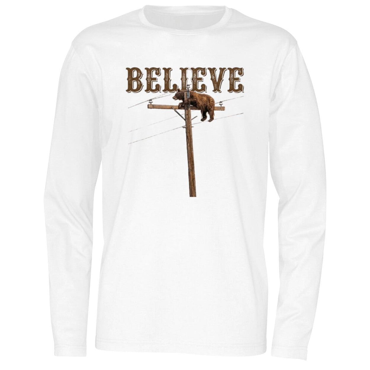 Believe Bear On Top Of The Light Pole Shirt