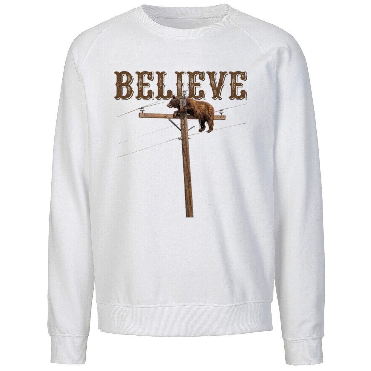 Believe Bear On Top Of The Light Pole Shirt