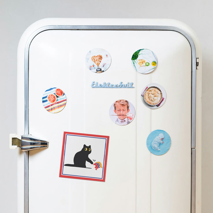 Black Cat Vs. GOP Elephant Car Magnet