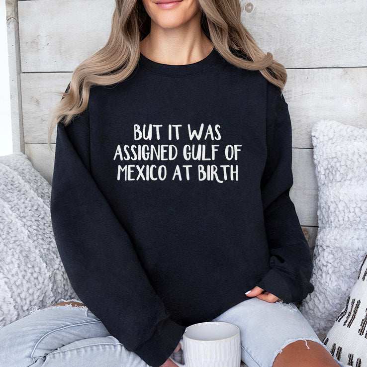 But It Was Assigned Gulf Of Mexico At Birth T Shirt