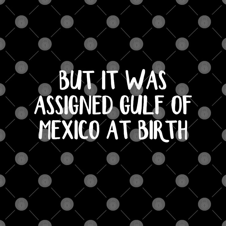 But It Was Assigned Gulf Of Mexico At Birth T Shirt