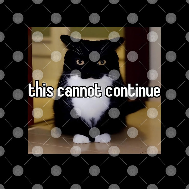 Cat This Cannot Continue T Shirt