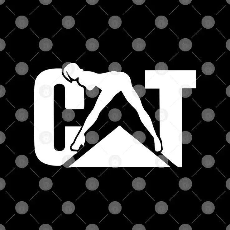 Cat With Woman T Shirt