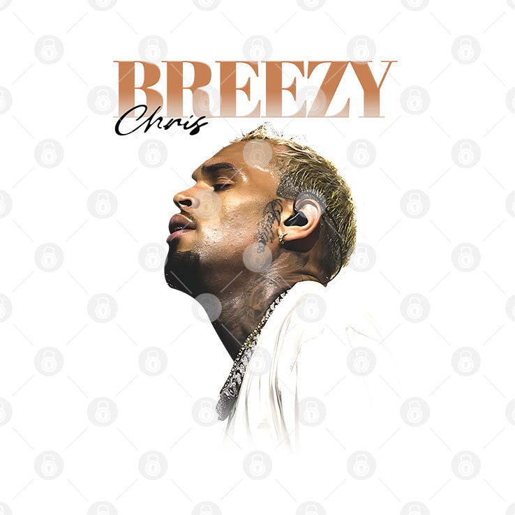 Chris Brown Breezy Bowl XX Pregame Tour 2025 T Shirt