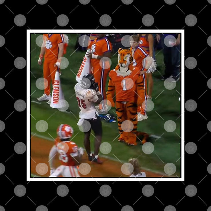 Clemson Tigers Loss To Louisville Cardinals Shirt
