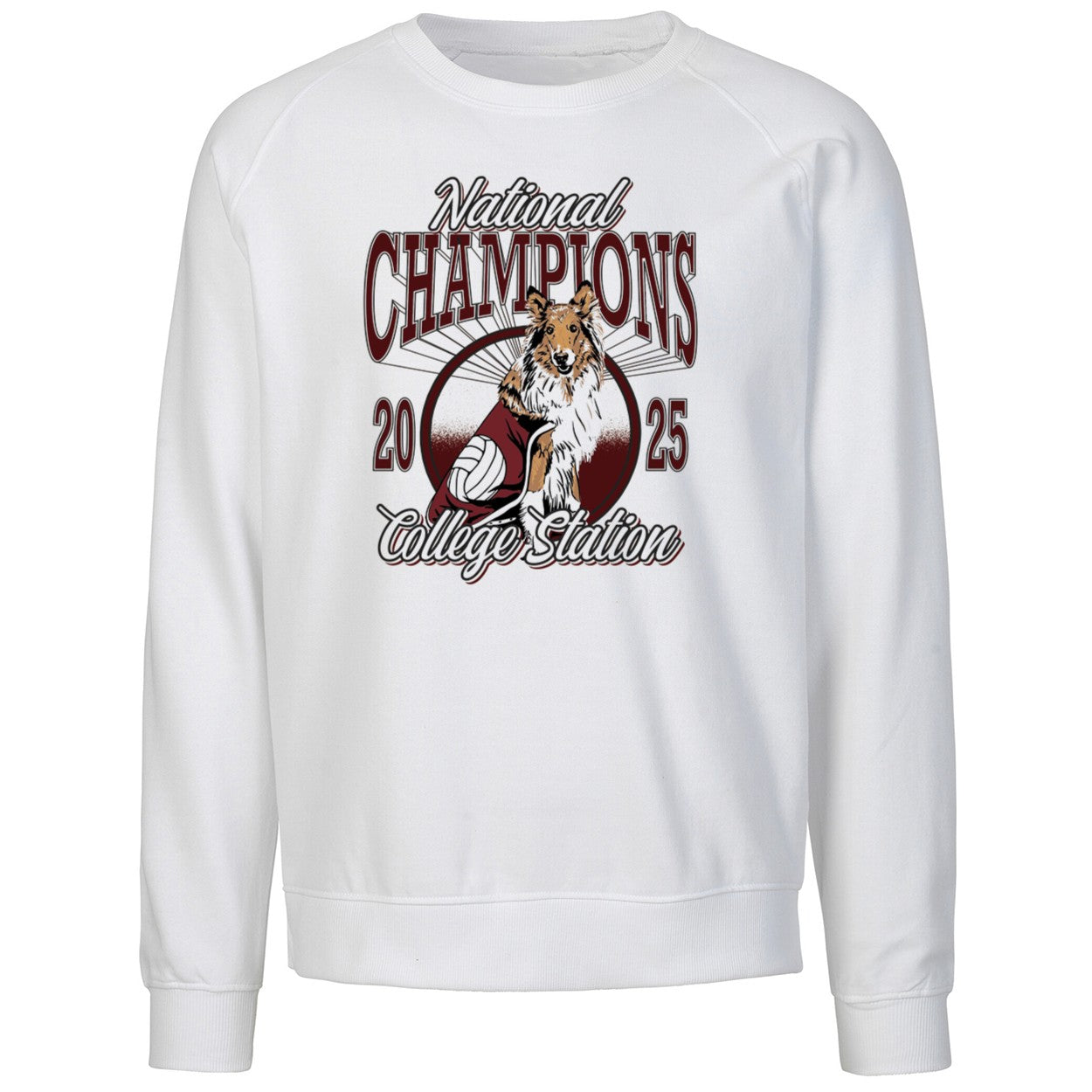 College Station Is A City Of Champions 2025 Shirt