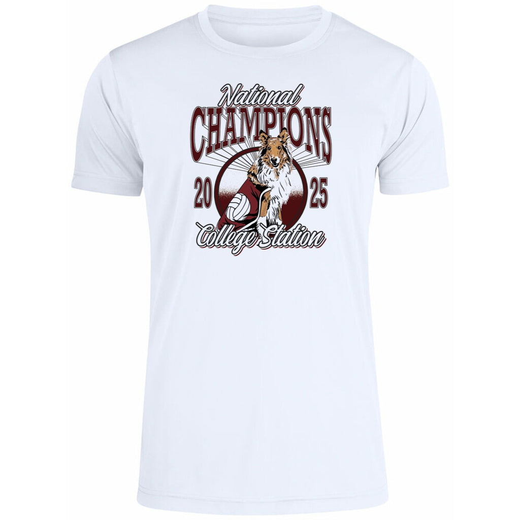 College Station Is A City Of Champions 2025 Shirt