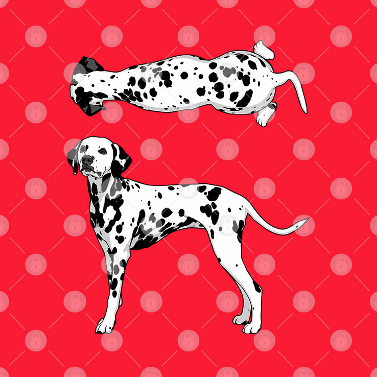 Dalmatian Dog Graphic T Shirt