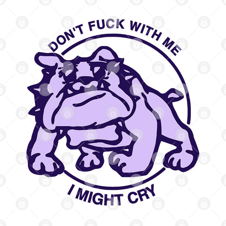 Don’t Fuck With Me I Might Cry T Shirt