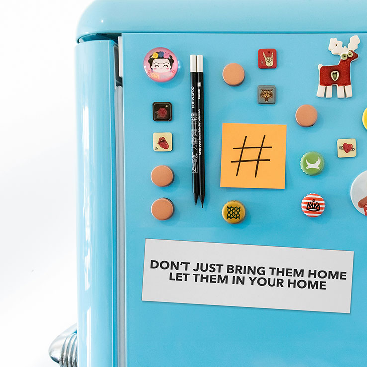 Don’t Just Bring Them Home Let Them In Your Home Car Magnet