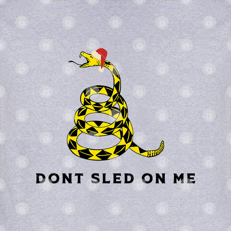 Don’t Sled On Me Funny Christmas Hoodie