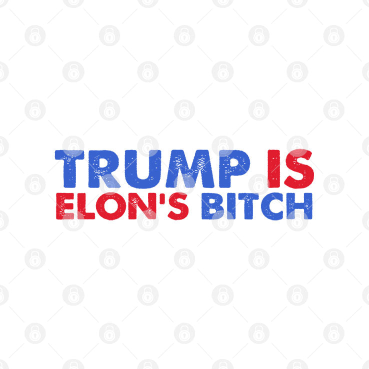 FDT Trump Is Elon’s Bitch T Shirt
