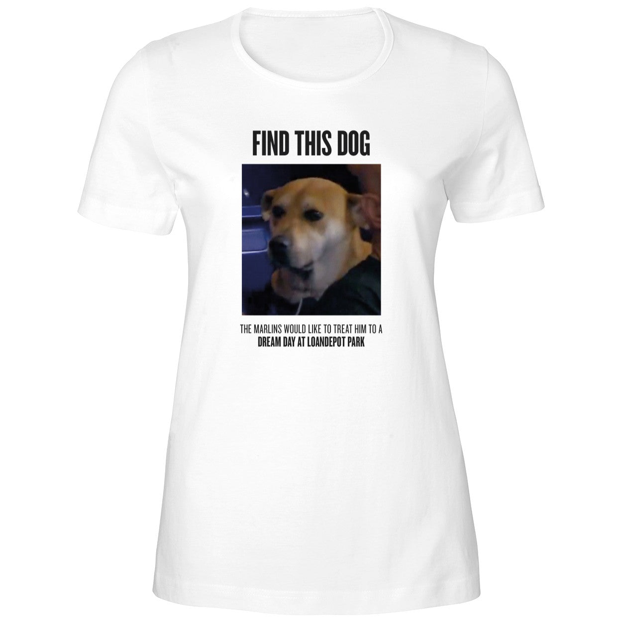 Find This Dog The Marlins Would Like To Treat Him Shirt