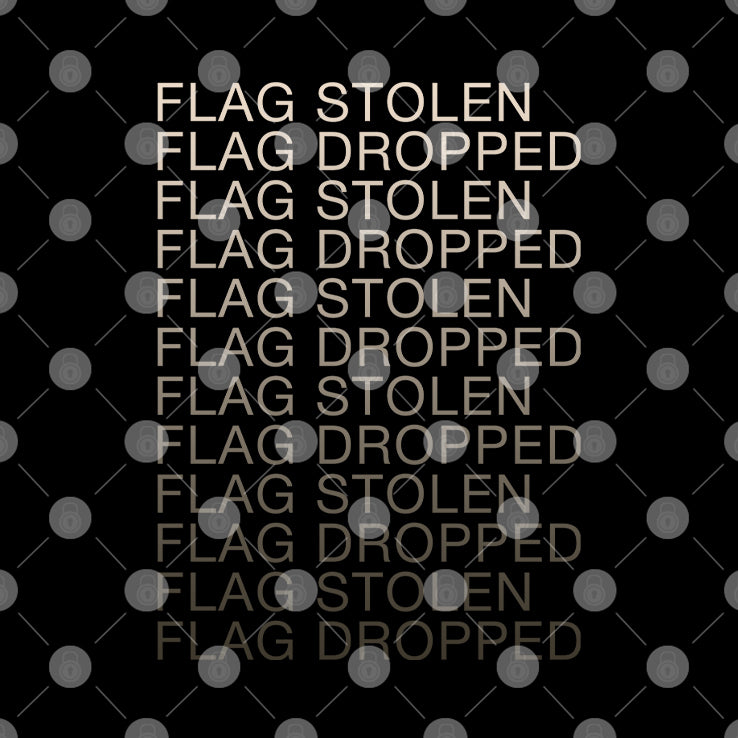 Flag Stolen Dlag Dropped T Shirt