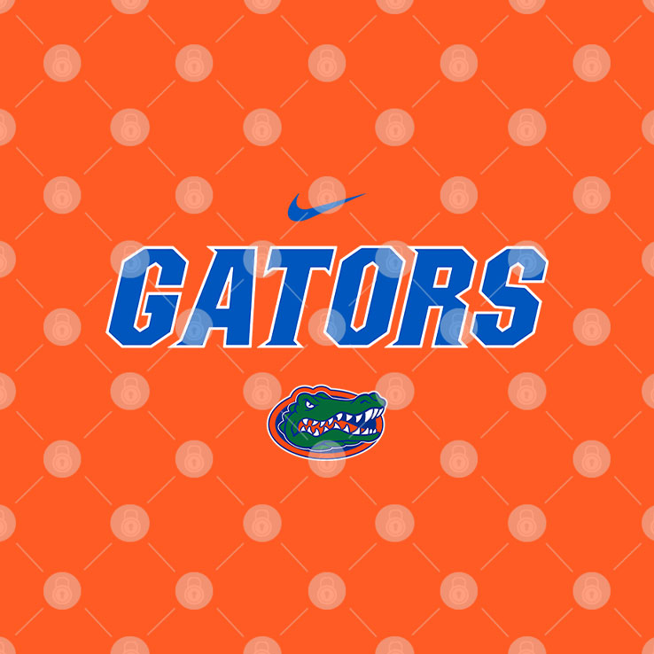 Florida Gators Baseball T Shirt