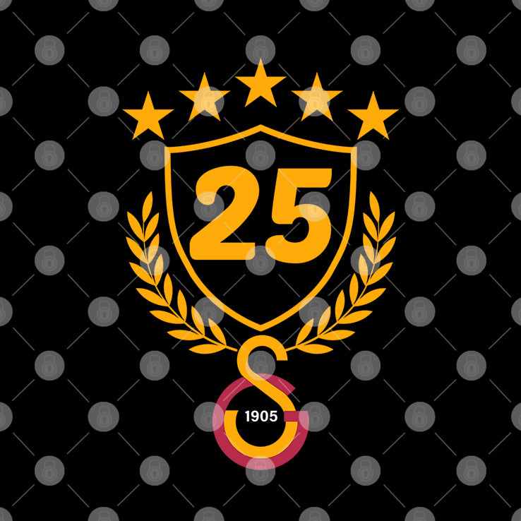 Galatasaray 5 Stars T Shirt