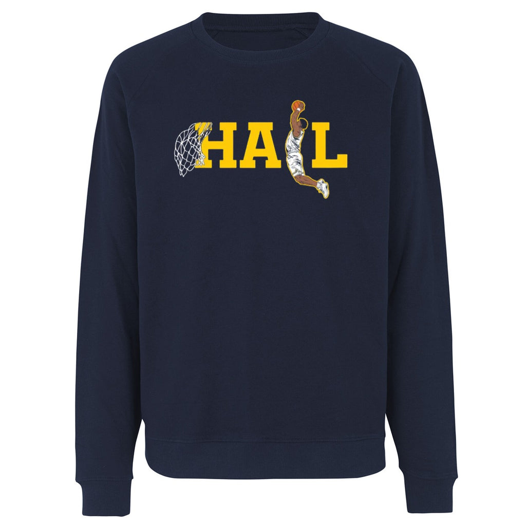 Hail Dunk Michigan Wolverines 2025-2026 Shirt