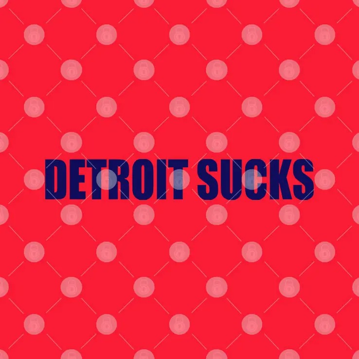 Houston Texans Detroit Sucks T Shirt