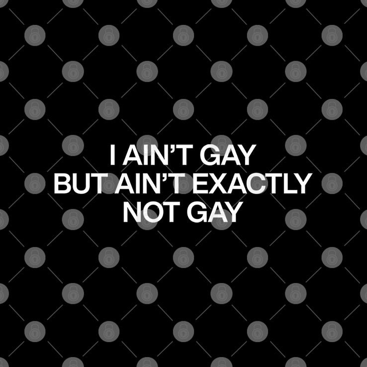 I Ain’t Gay But I Ain’t Exactly Not Gay Hat