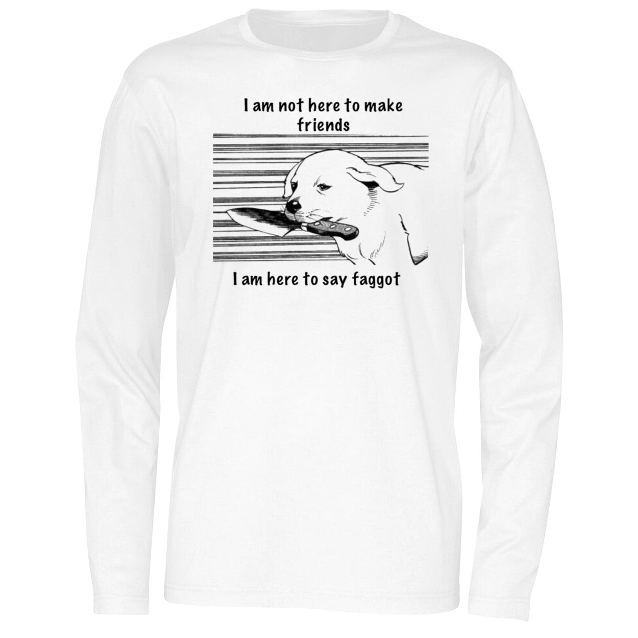 I Am Not Here To Make Friends I Am Here To Say Faggot Shirt