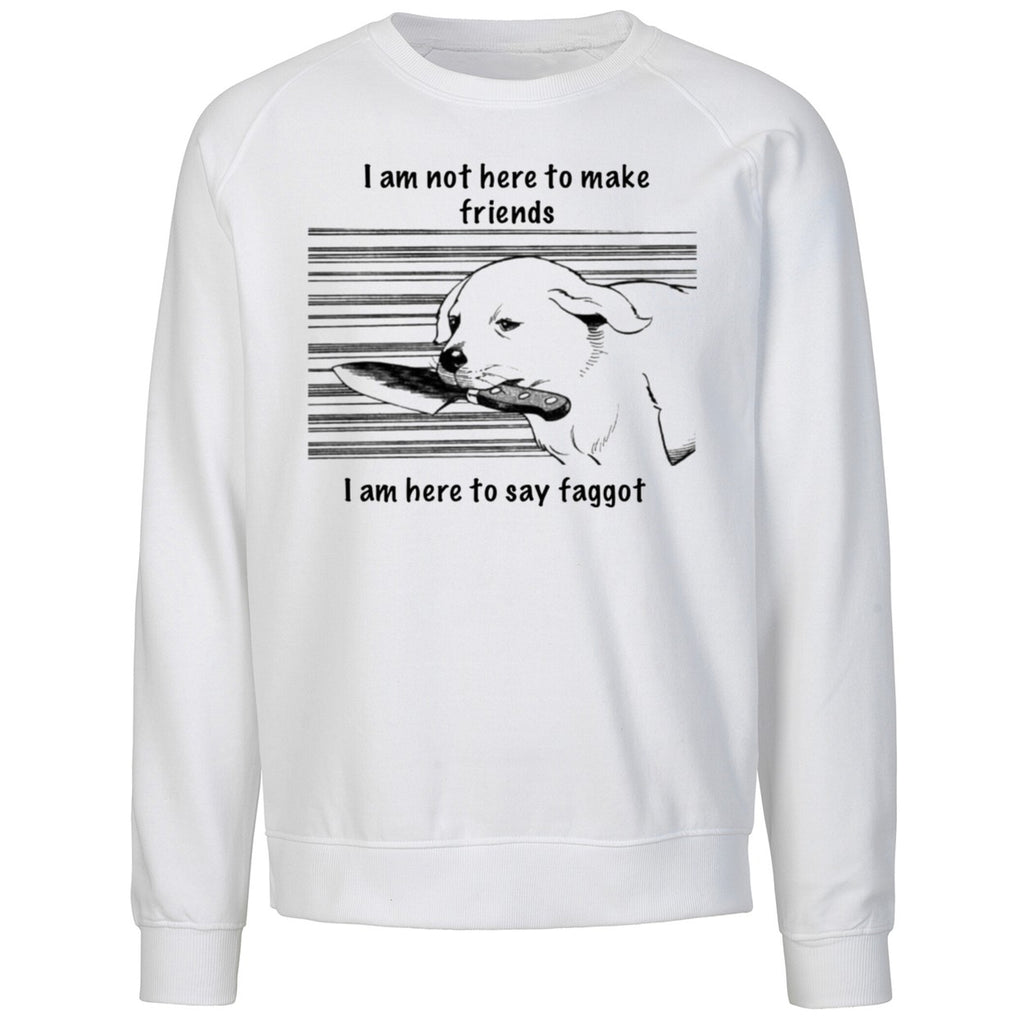 I Am Not Here To Make Friends I Am Here To Say Faggot Shirt