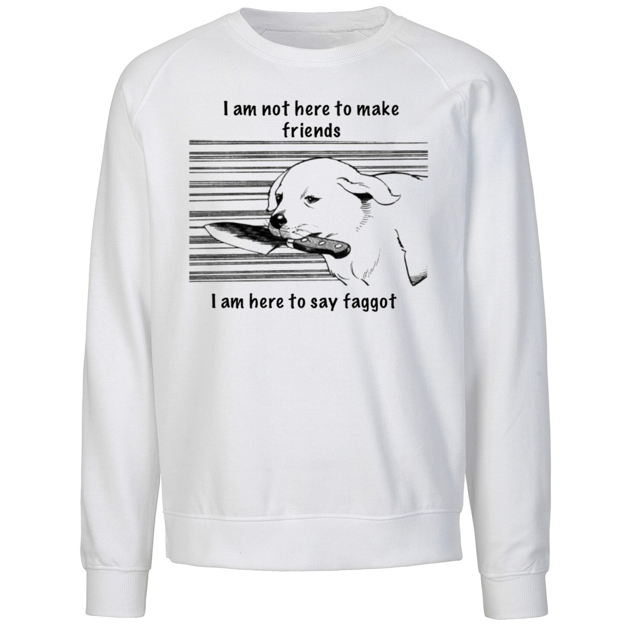 I Am Not Here To Make Friends I Am Here To Say Faggot Shirt