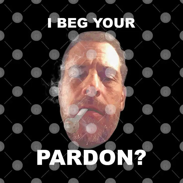 Biden Hunter I Beg Your Pardon T Shirt