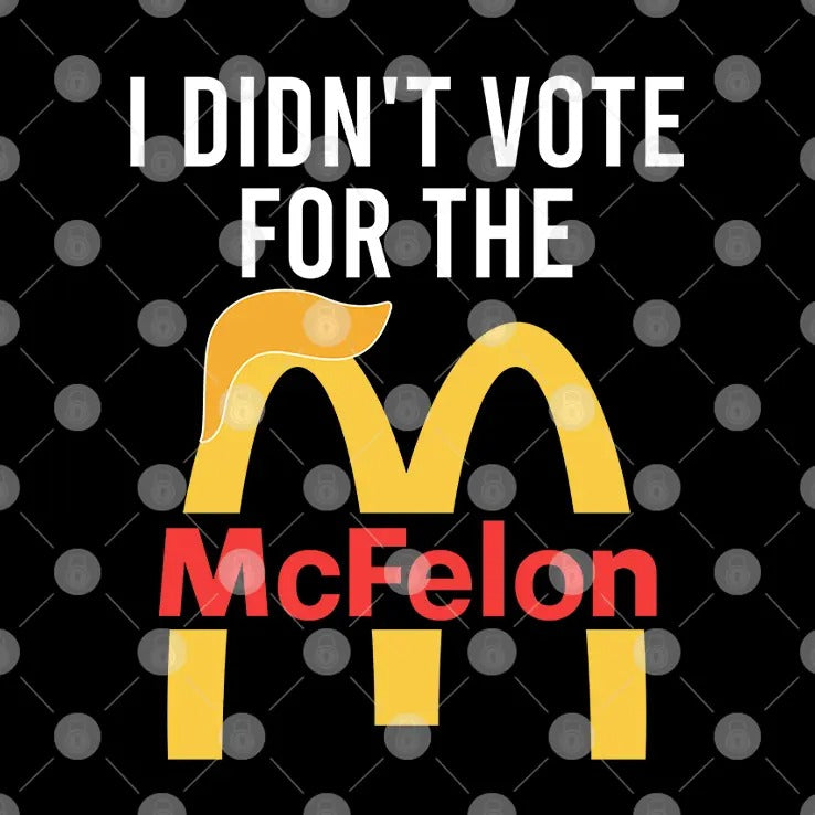 I Didn’t Vote For The McFelon Shirt