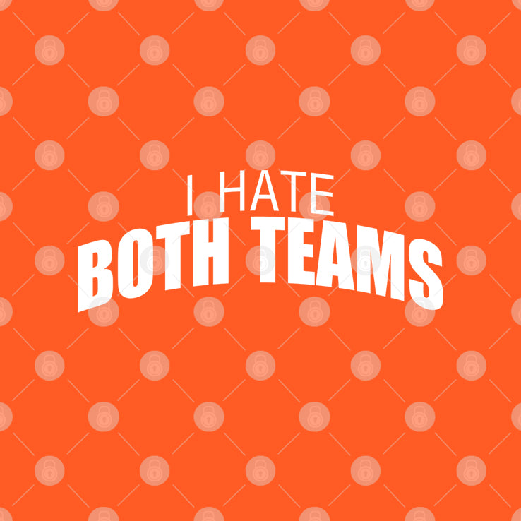 I Hate Both Teams Bengal Cincinnati T Shirt
