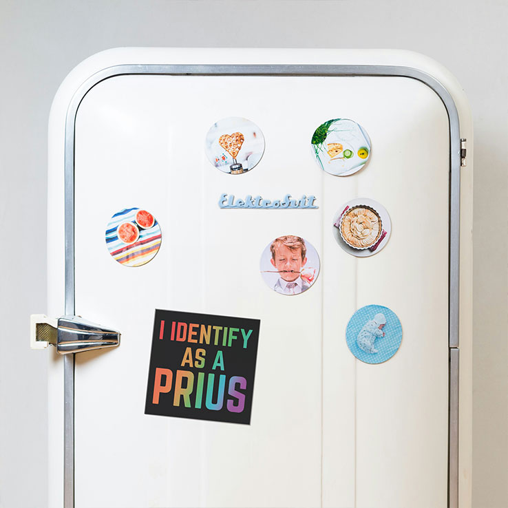 I Identify As A Prius Anti Elon Musk Car Magnet