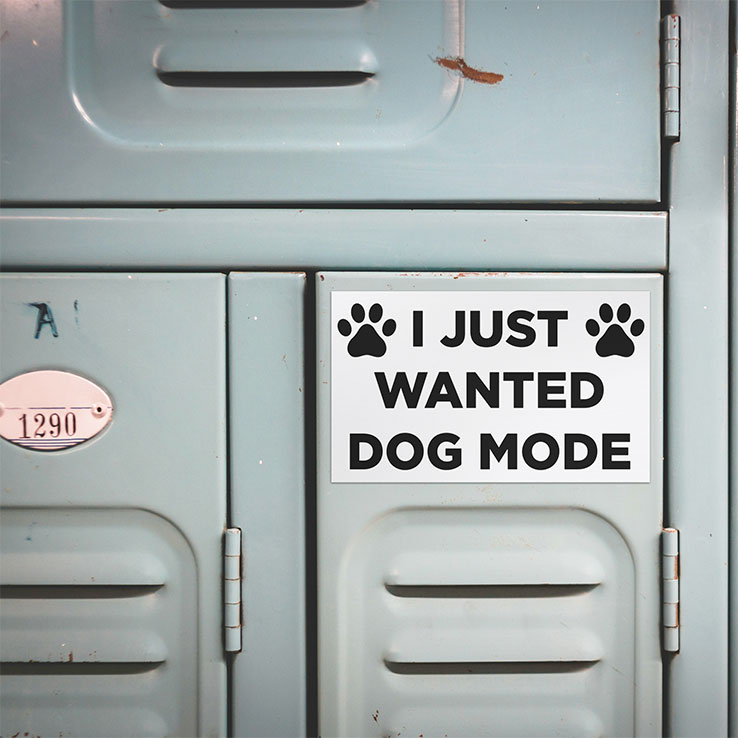 I Just Wanted Dog Mode Car Magnet
