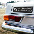 I Just Wanted Dog Mode Not A Cult Car Magnet