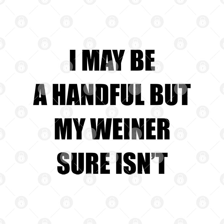 I May Be A Handful But My Weiner Sure Isn’t T Shirt
